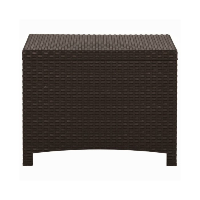 Boîte de rangement de jardin 60x54x41 cm Rotin PP Marron