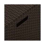 Boîte de rangement de jardin 60x54x41 cm Rotin PP Marron