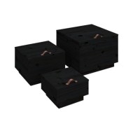 Boîtes de rangement et couvercles 3 pcs Noir Bois massif de pin