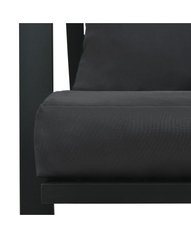 Canapé de jardin à 2 places avec coussins Gris foncé Aluminium