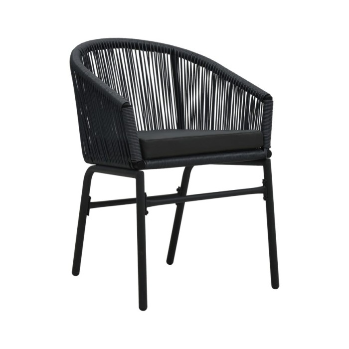 Chaises de jardin 2 pcs Noir Rotin PVC