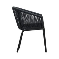 Chaises de jardin 2 pcs Noir Rotin PVC