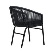 Chaises de jardin 2 pcs Noir Rotin PVC
