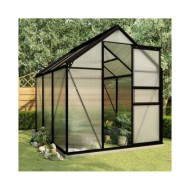 Serre avec cadre de base Anthracite Aluminium 3,61 m²