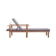 Chaise longue et coussin Résine tressée et bois d'acacia Gris