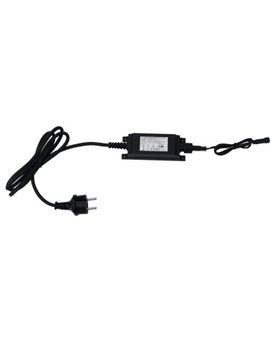 Lampes de sol à LED 10 pcs Blanc chaud