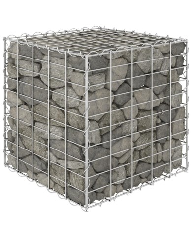 Lit surélevé cube à gabion Fil d'acier 50x50x50 cm