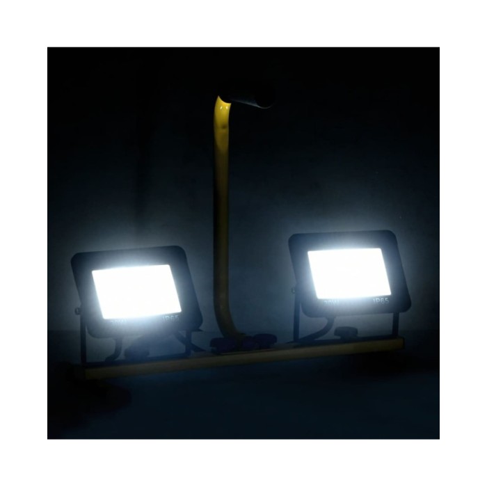 Projecteur à LED avec poignée 2x30 W Blanc froid 