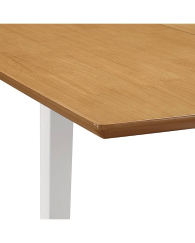 Table à dîner extensible Blanc (80-120) x 80 x 74 cm MDF