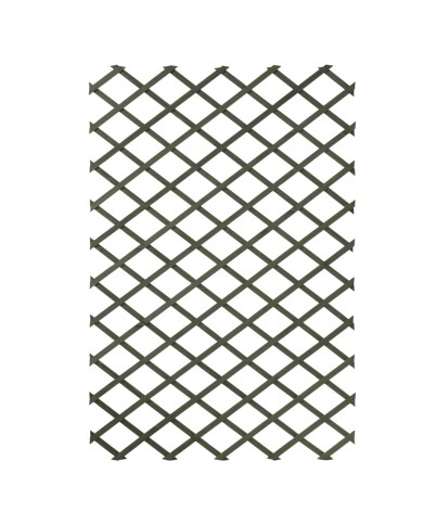 Nature Palissades de jardin 2 pcs 100 x 200 cm Bois Vert