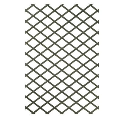 Nature Palissades de jardin 2 pcs 100 x 200 cm Bois Vert