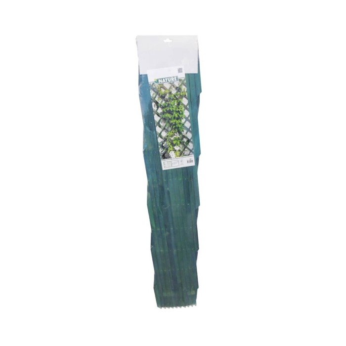Nature Palissades de jardin 2 pcs 100 x 200 cm Bois Vert