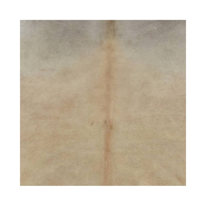 Tapis en peau de vache véritable 150 x 170 cm Beige