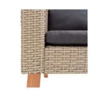 Canapé de jardin à 2 places avec coussins Résine tressée Beige