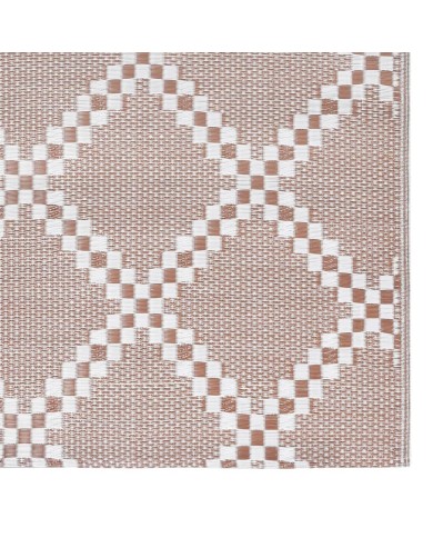 Tapis d'extérieur Marron 190x290 cm PP