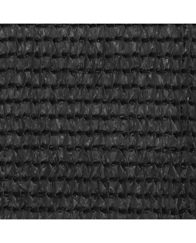 Écran de balcon Anthracite 120x400 cm PEHD