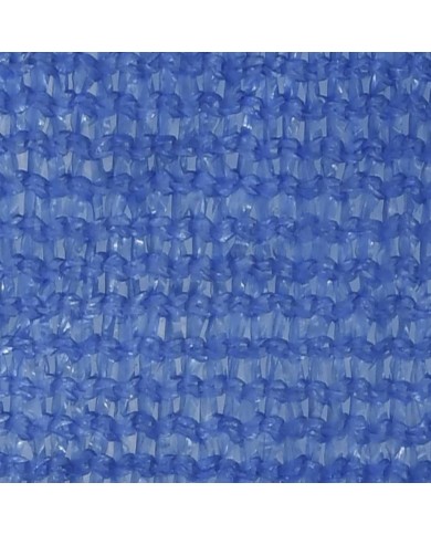 Voile d'ombrage 160 g/m² Bleu 2x4,5 m PEHD