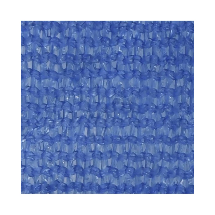 Voile d'ombrage 160 g/m² Bleu 2x4,5 m PEHD